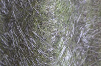 Pensarn fibreglass roof work